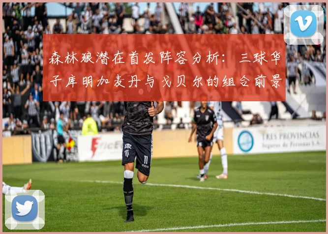 森林狼潜在首发阵容分析：三球华子库明加麦丹与戈贝尔的组合前景如何
